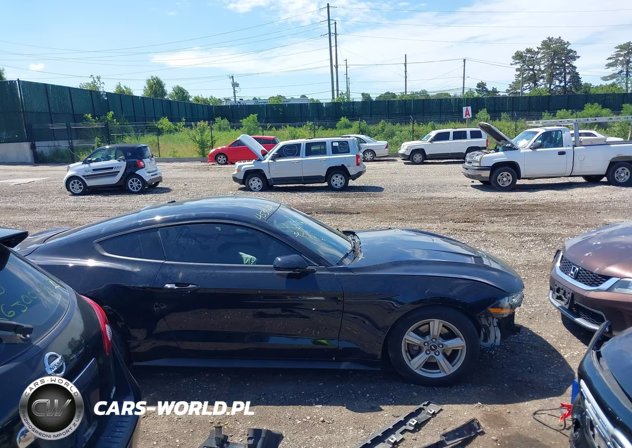 2019 Ford Mustang Ecoboost VIN:1FA6P8TH4K5195280 - 13