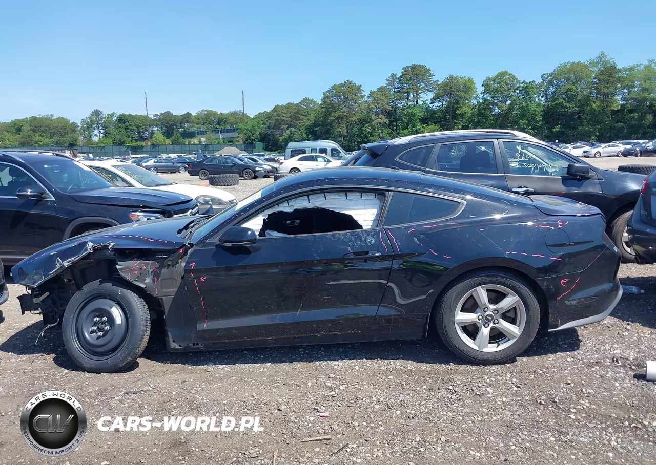 2019 Ford Mustang Ecoboost VIN:1FA6P8TH4K5195280 - 14