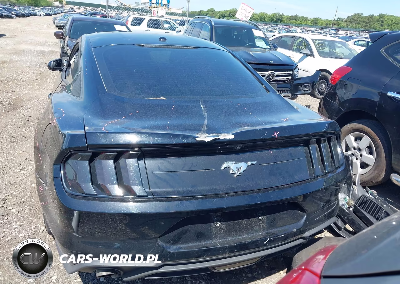 2019 Ford Mustang Ecoboost VIN:1FA6P8TH4K5195280 - 16
