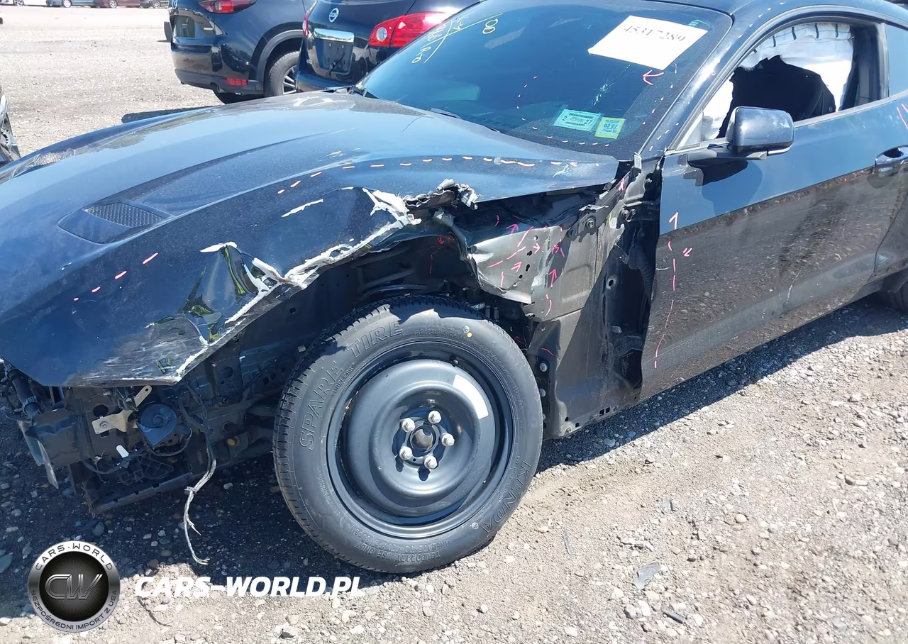 2019 Ford Mustang Ecoboost VIN:1FA6P8TH4K5195280 - 17