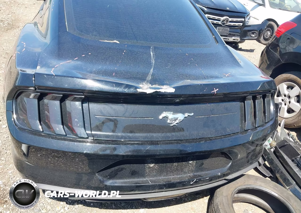 2019 Ford Mustang Ecoboost VIN:1FA6P8TH4K5195280 - 18