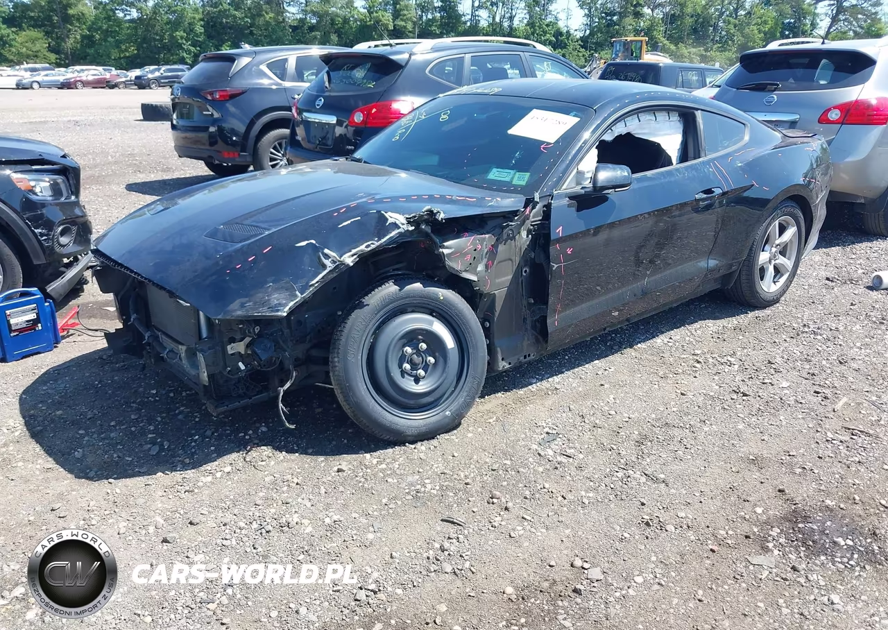 2019 Ford Mustang Ecoboost VIN:1FA6P8TH4K5195280 - 2