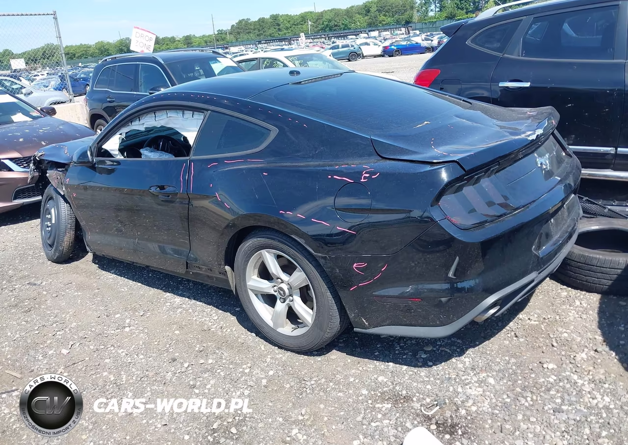 2019 Ford Mustang Ecoboost VIN:1FA6P8TH4K5195280 - 3