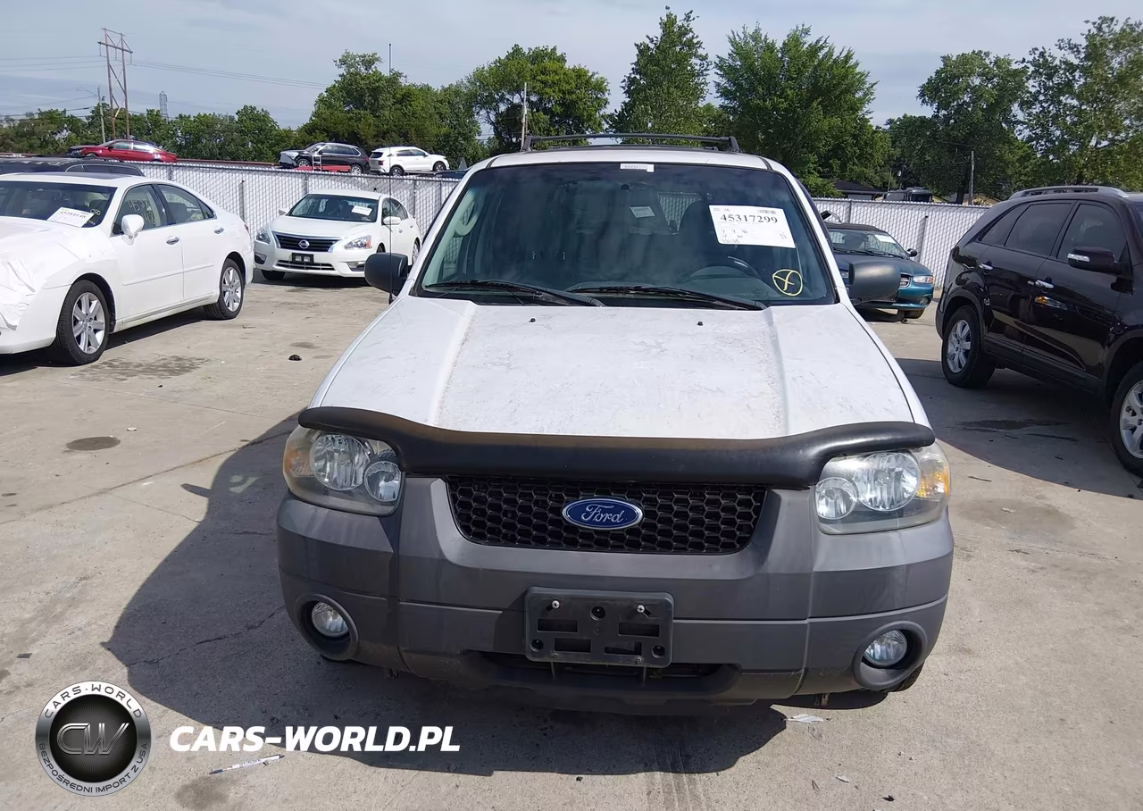 2007 Ford Escape Xlt-Xlt Sport VIN:1FMYU03137KA85566 - 6
