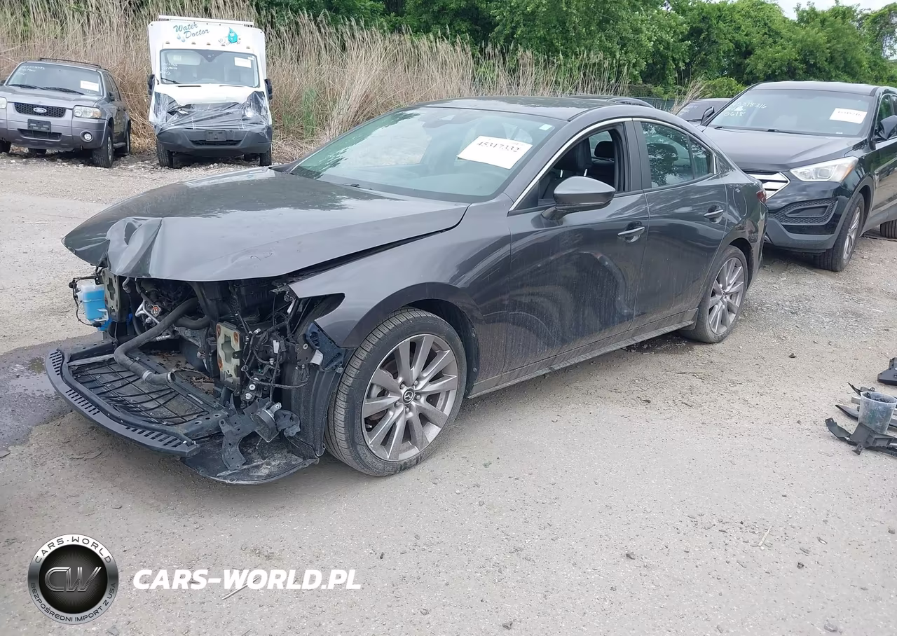 2019 Mazda Mazda3 Preferred Package VIN:3MZBPADL5KM107234 - 2