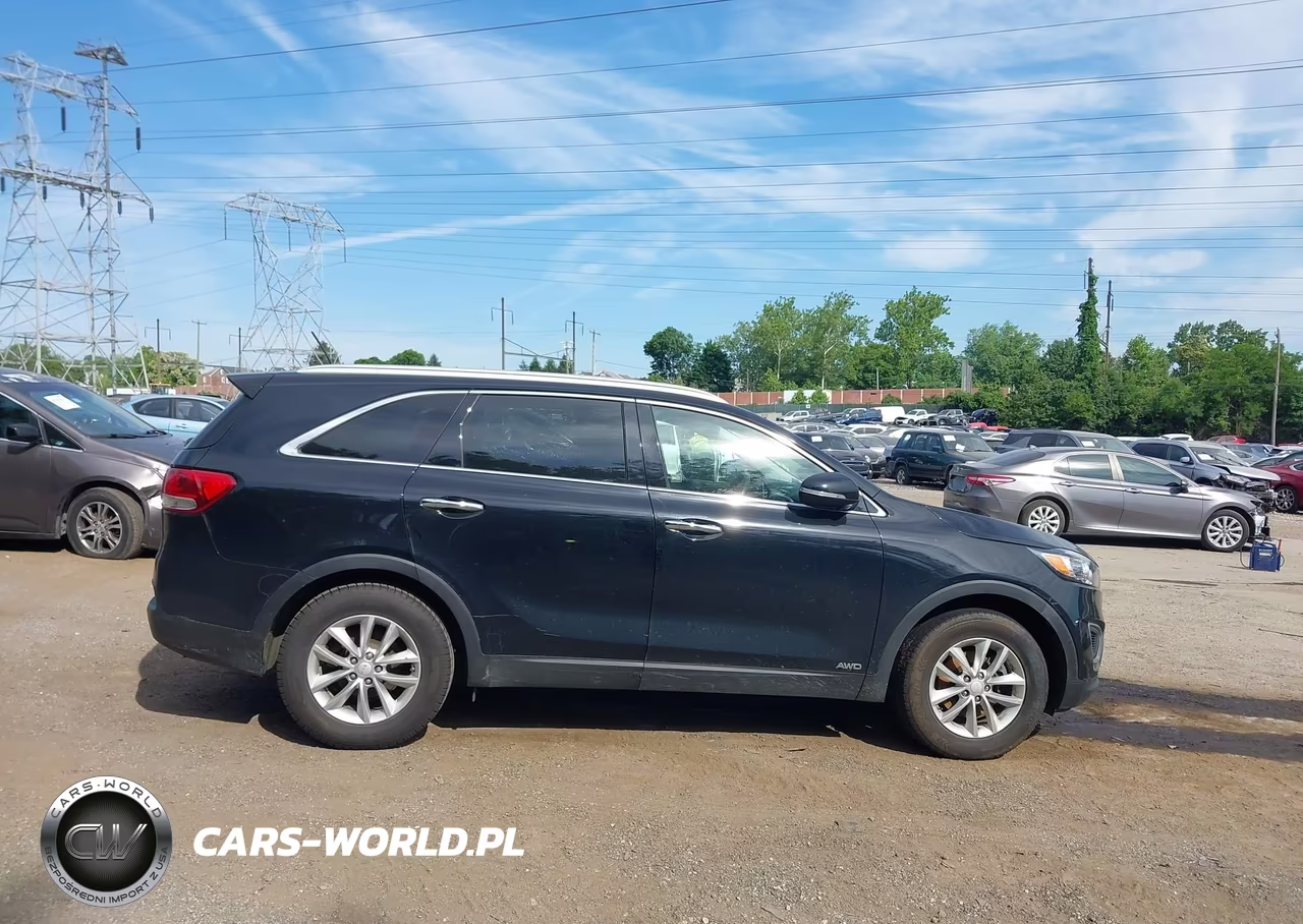 2017 Kia Sorento 2.4L Lx VIN:5XYPGDA3XHG295656 - 13