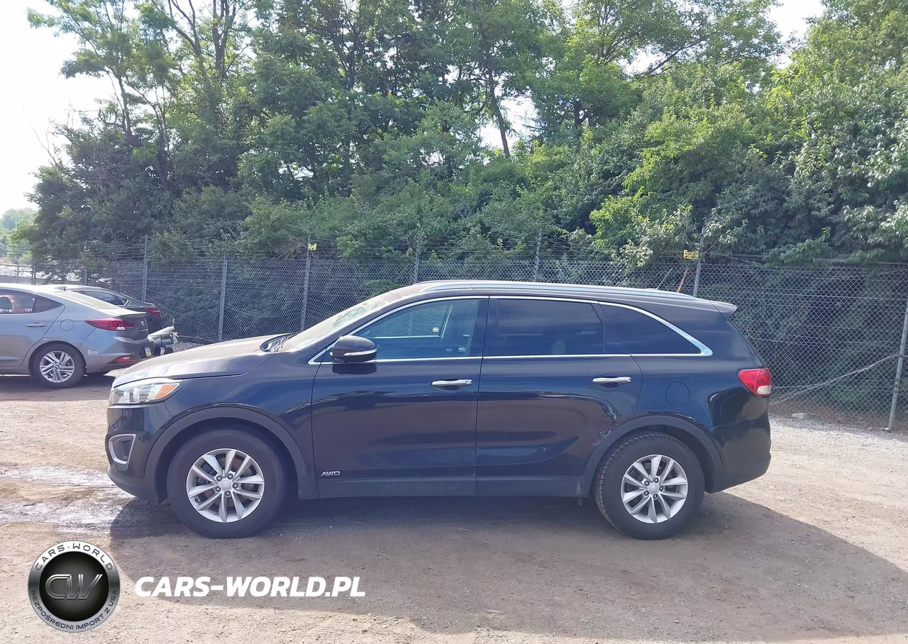 2017 Kia Sorento 2.4L Lx VIN:5XYPGDA3XHG295656 - 14