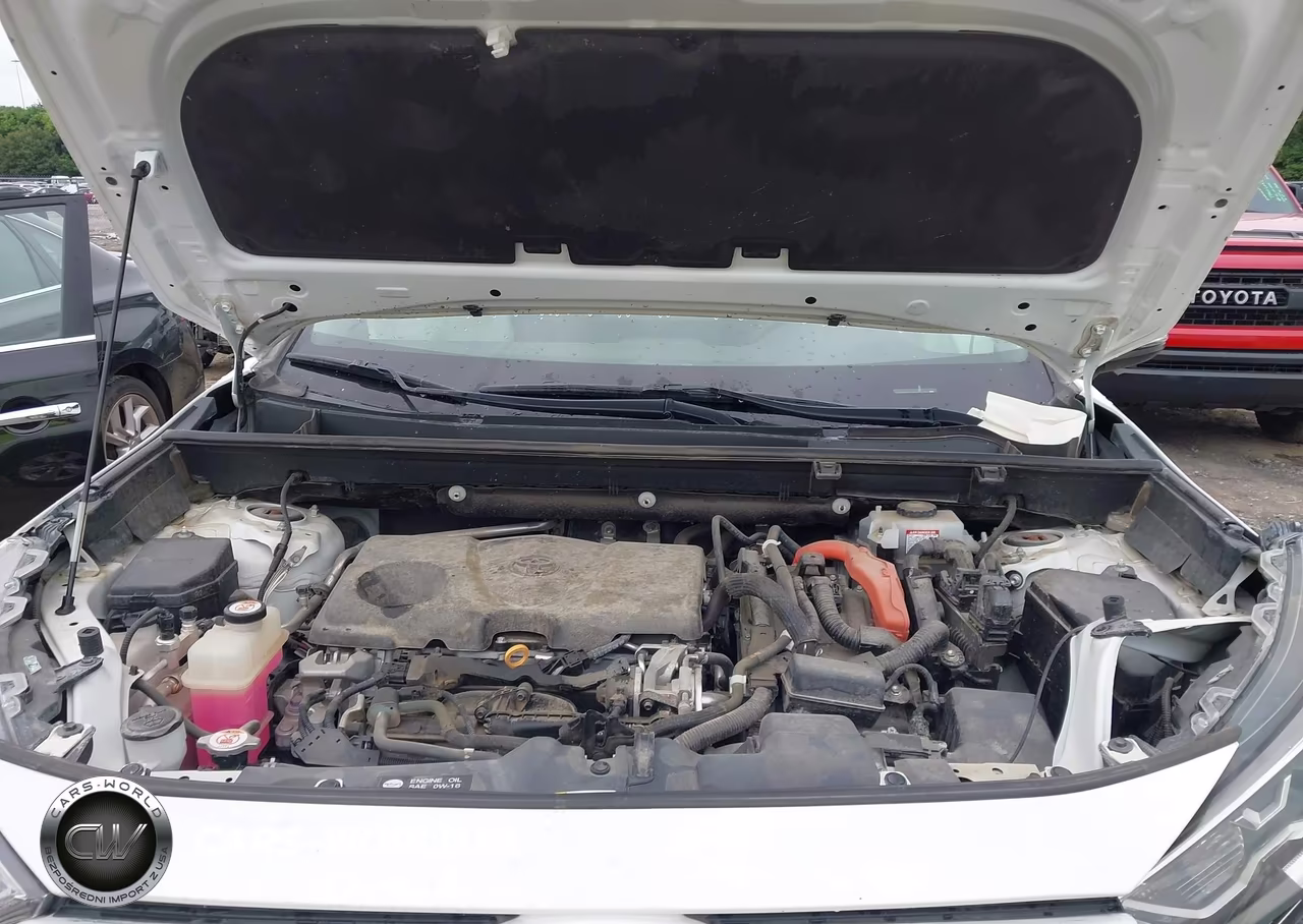 2019 Toyota Rav4 Hybrid Xle VIN:2T3RWRFV9KW024955 - 10