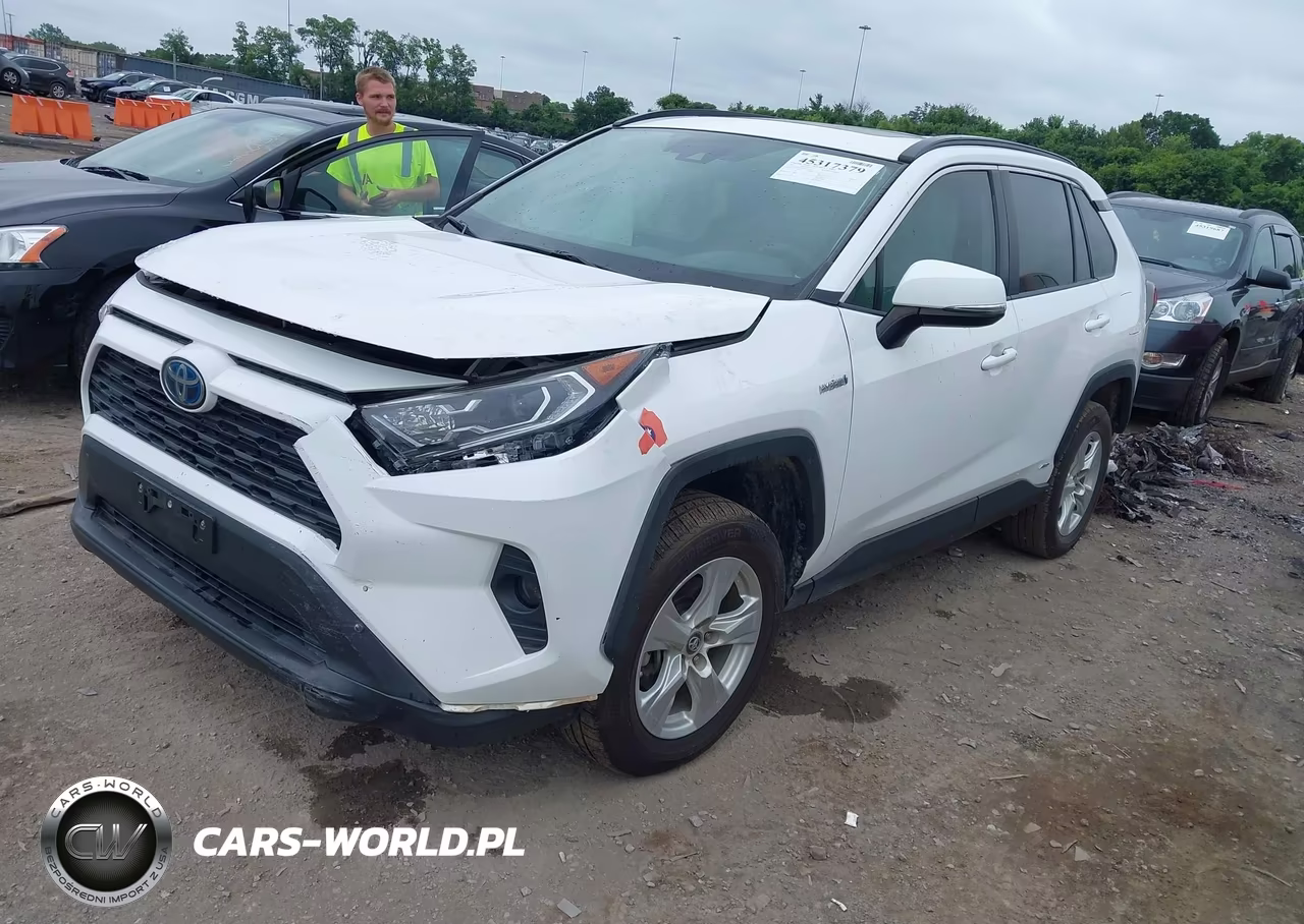 2019 Toyota Rav4 Hybrid Xle VIN:2T3RWRFV9KW024955 - 2
