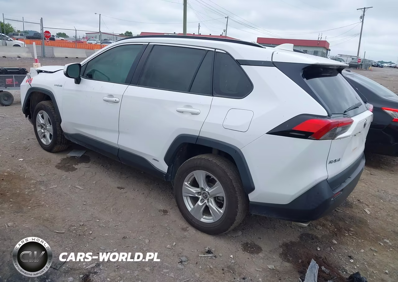2019 Toyota Rav4 Hybrid Xle VIN:2T3RWRFV9KW024955 - 3