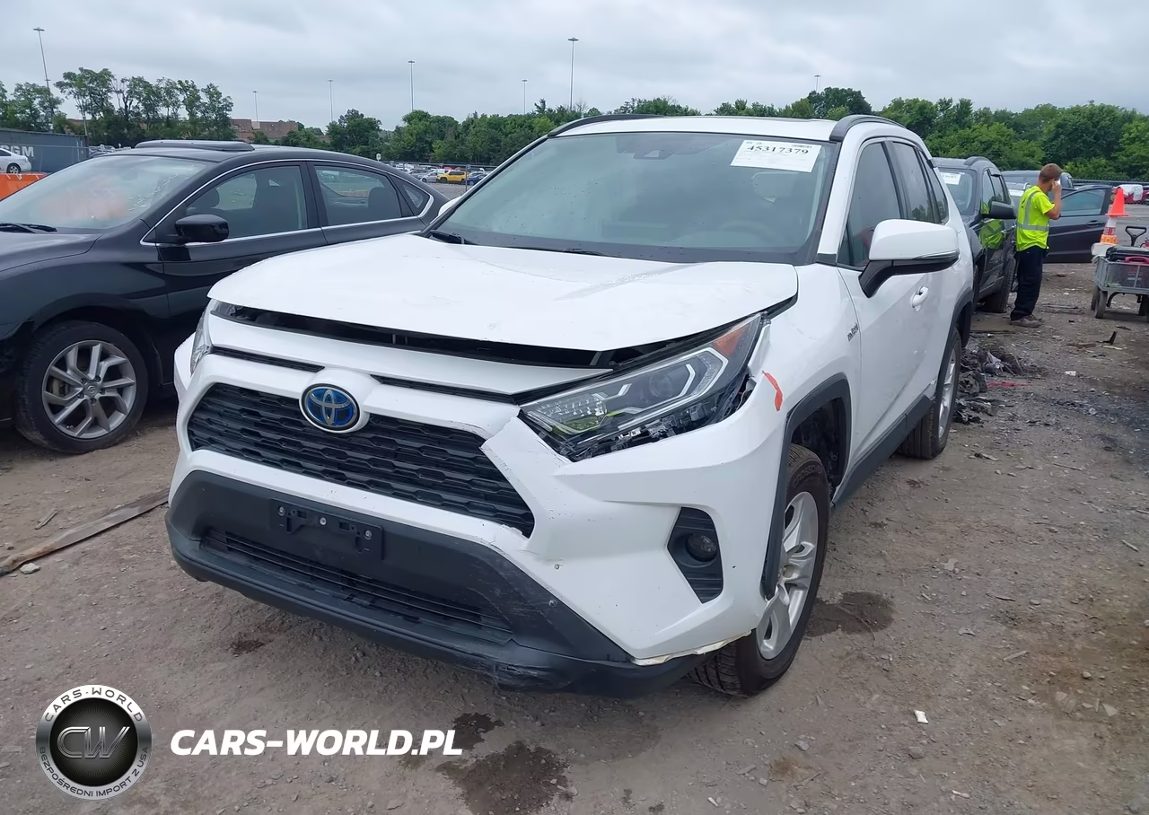 2019 Toyota Rav4 Hybrid Xle VIN:2T3RWRFV9KW024955 - 6