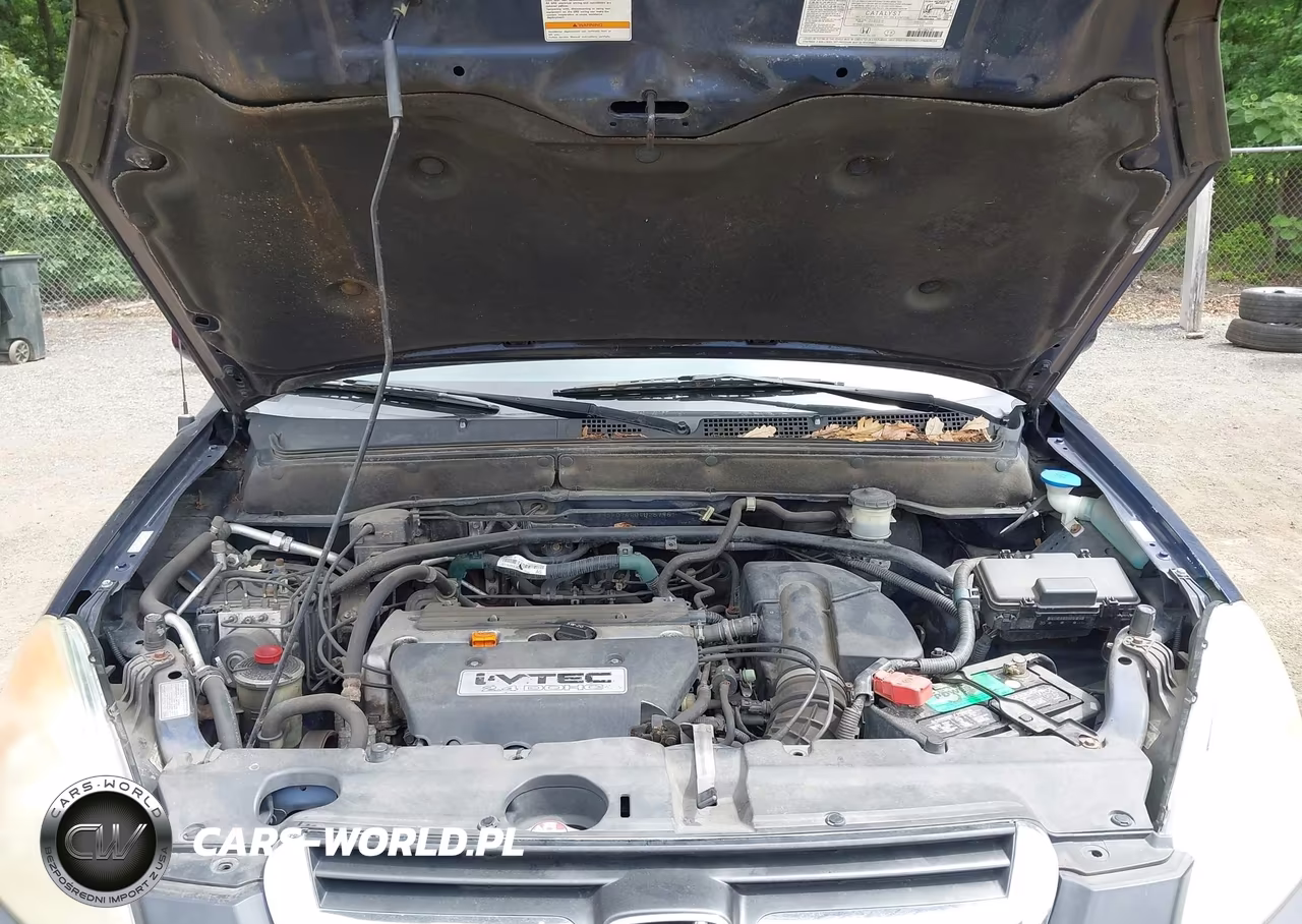 2004 Honda Cr-V Ex VIN:SHSRD78804U257951 - 10