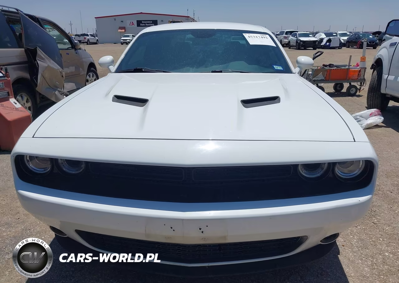 2019 Dodge Challenger Sxt VIN:2C3CDZAG5KH507514 - 12