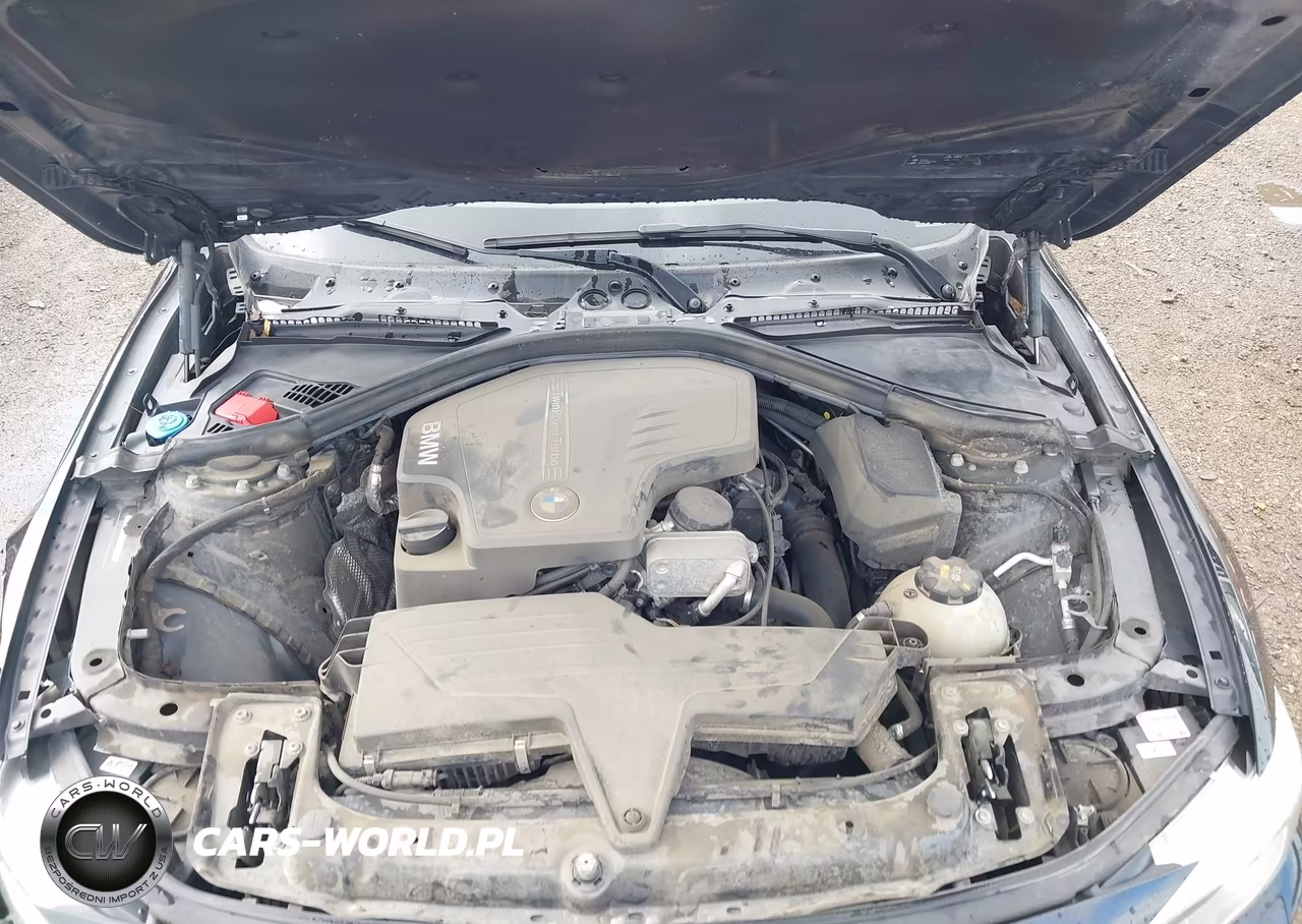 2016 BMW 428I VIN:WBA3N7C55GK228599 - 10