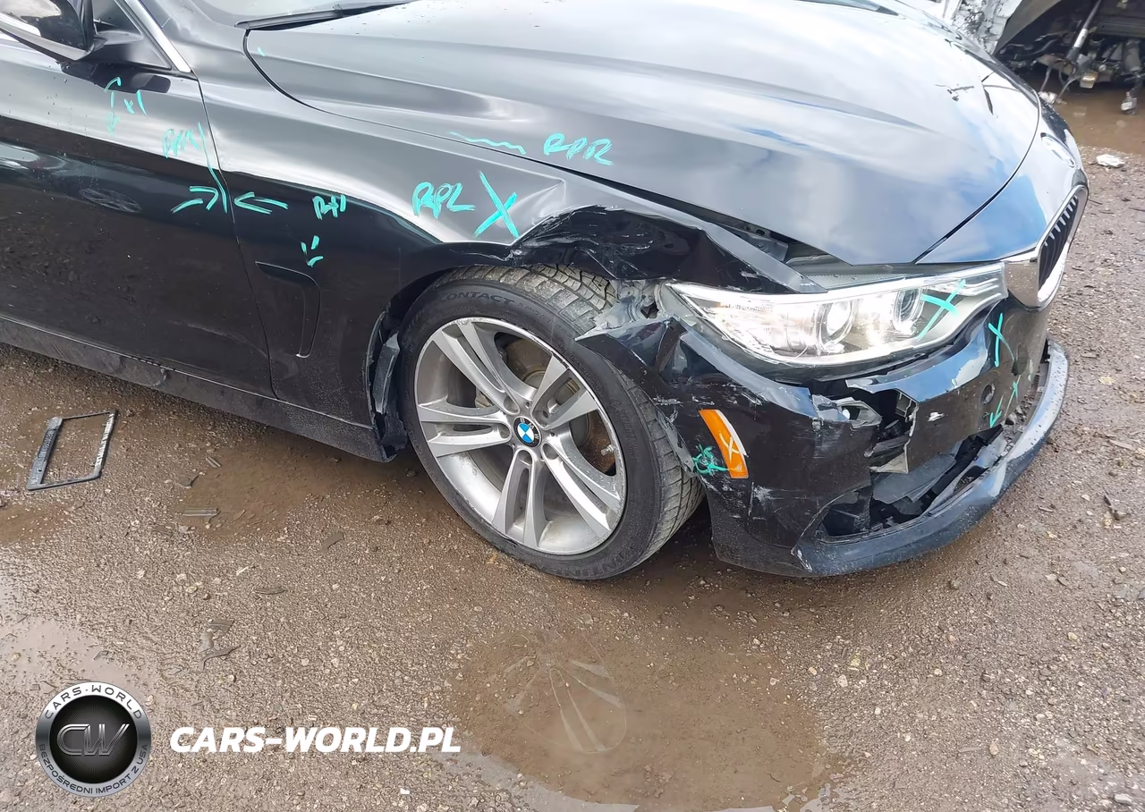 2016 BMW 428I VIN:WBA3N7C55GK228599 - 17