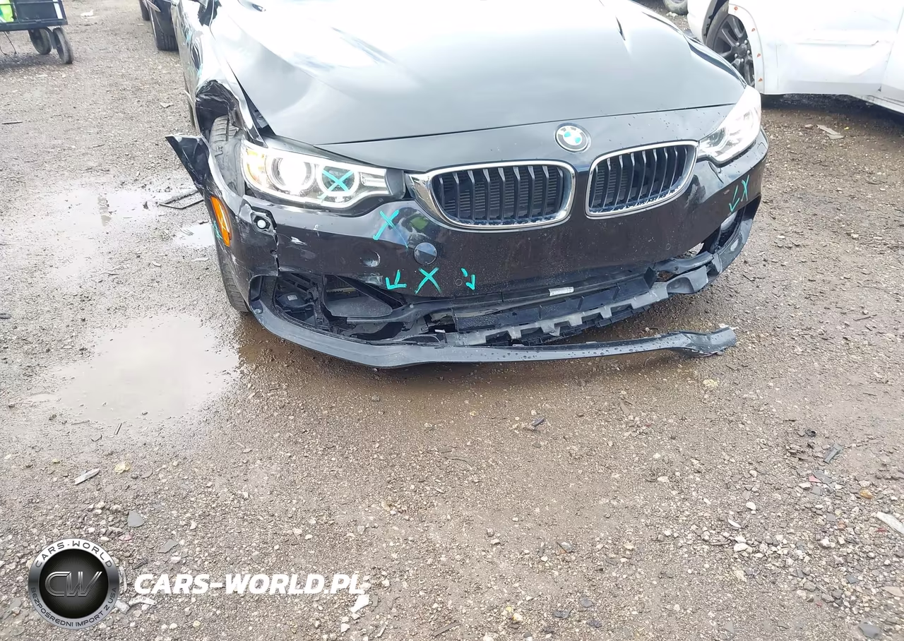 2016 BMW 428I VIN:WBA3N7C55GK228599 - 6