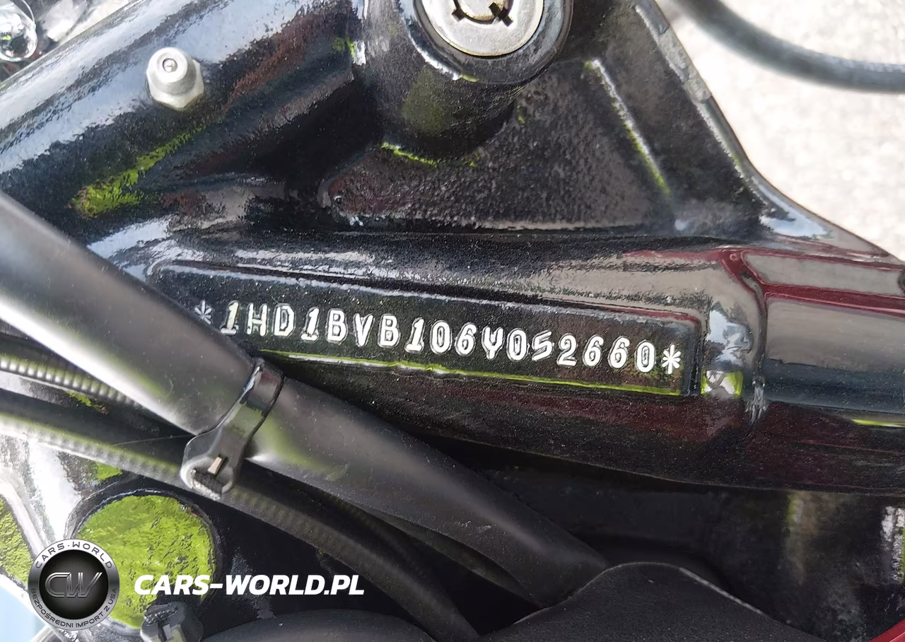 2006 Harley-Davidson Fxsti VIN:1HD1BVB106Y052660 - 10