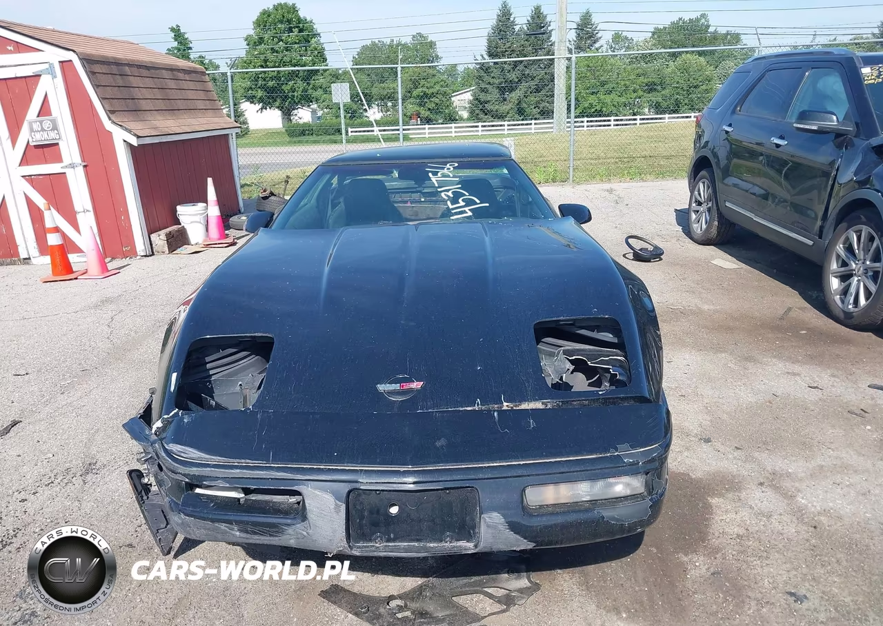1996 Chevrolet Corvette VIN:1G1YY22PXT5111706 - 12