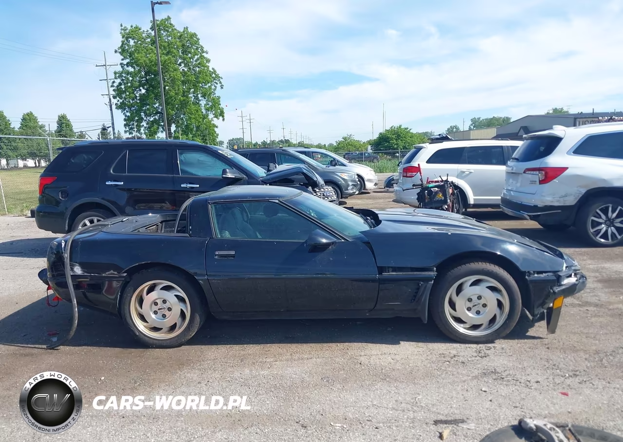 1996 Chevrolet Corvette VIN:1G1YY22PXT5111706 - 13