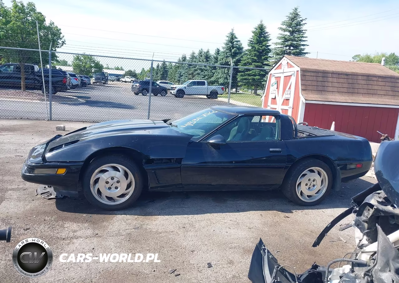 1996 Chevrolet Corvette VIN:1G1YY22PXT5111706 - 14