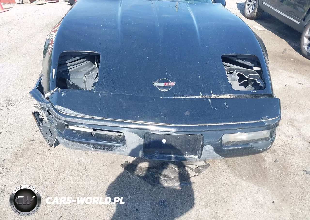 1996 Chevrolet Corvette VIN:1G1YY22PXT5111706 - 6