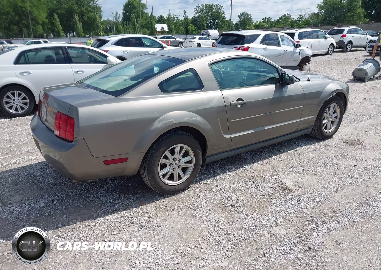 2005 Ford Mustang V6 Deluxe-V6 Premium VIN:1ZVFT80N355201670 - 4