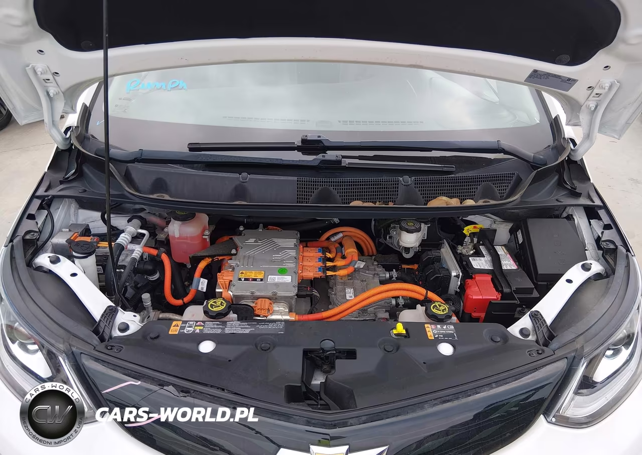 2019 Chevrolet Bolt Ev Premier VIN:1G1FZ6S0XK4104662 - 10