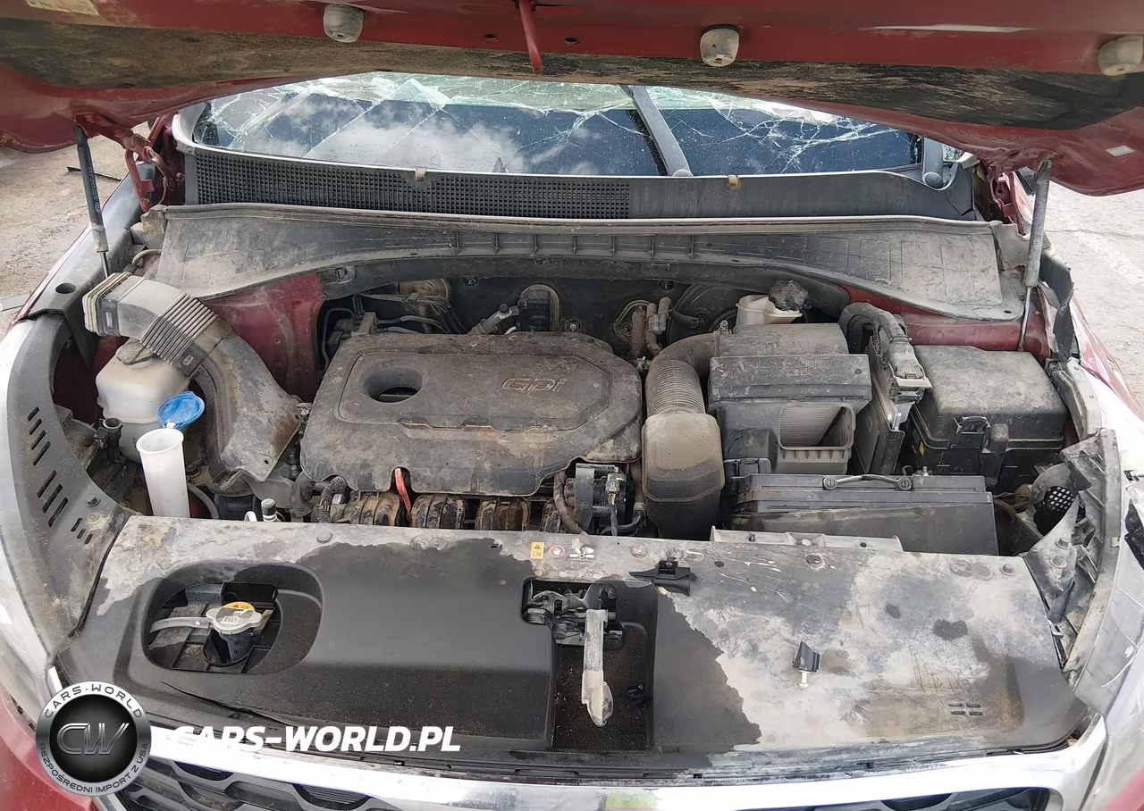 2020 Kia Sorento 2.4L Lx VIN:5XYPG4A37LG680553 - 10