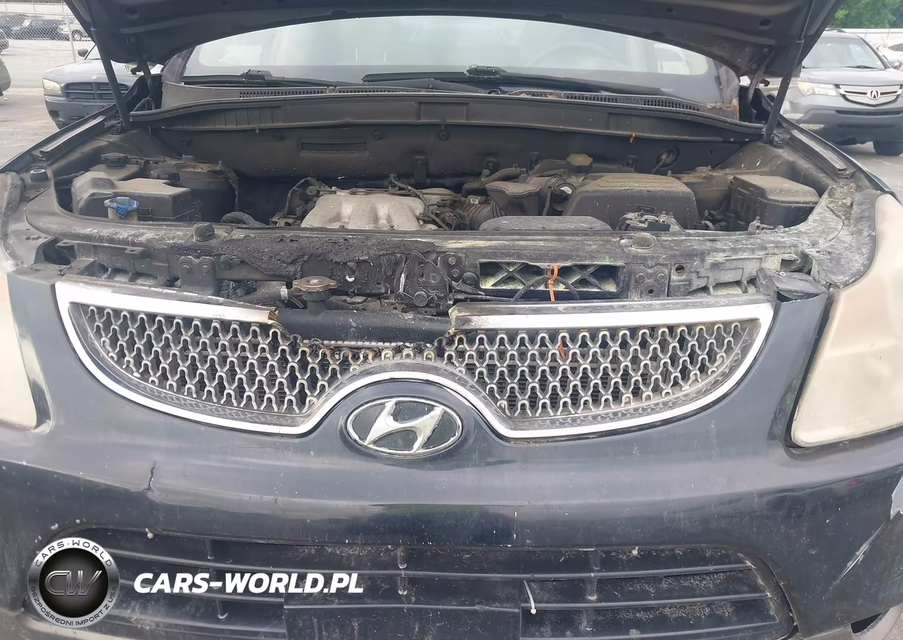 2008 Hyundai Veracruz Gls-Limited-Se VIN:KM8NU13C58U034392 - 6