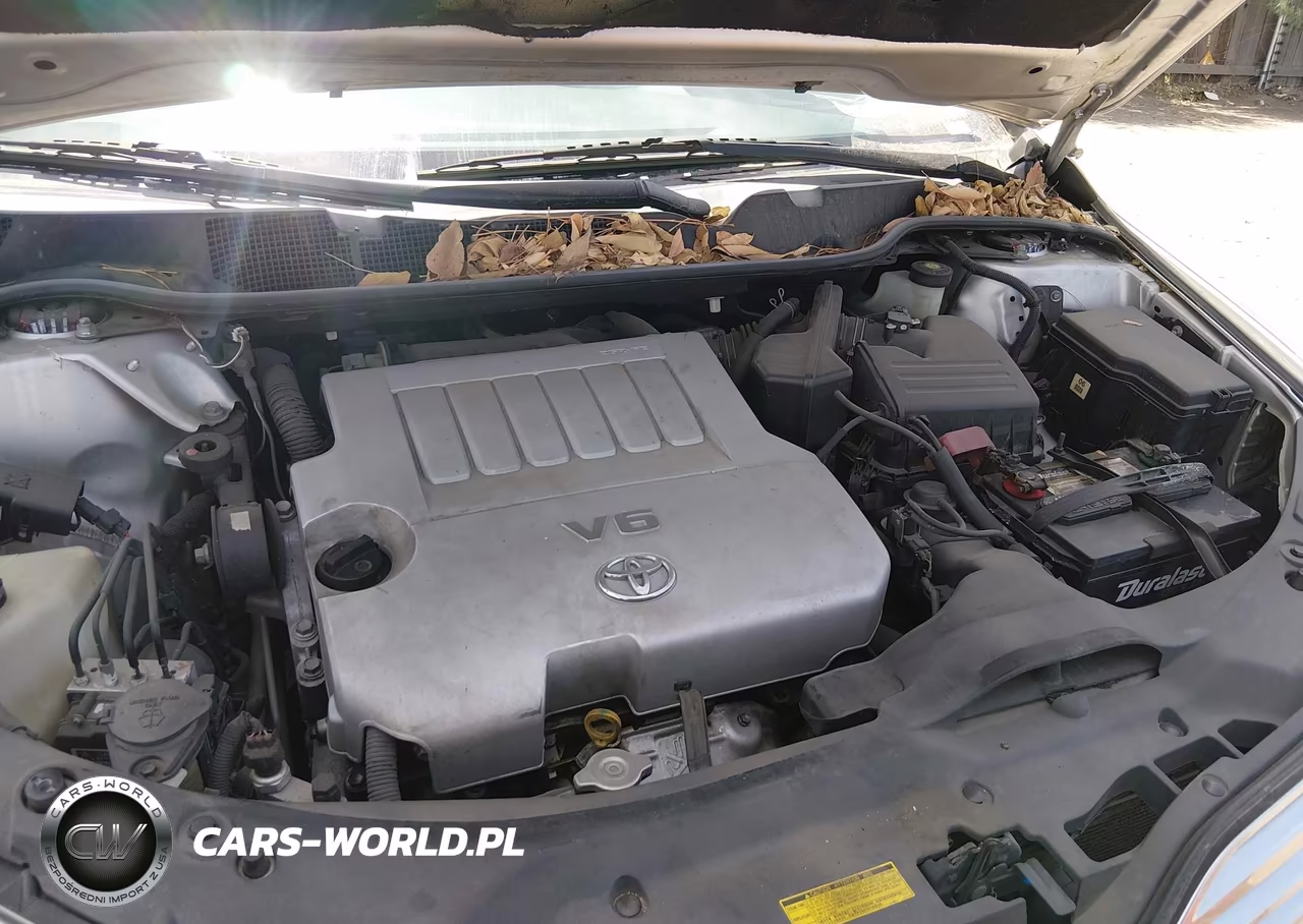 2009 Toyota Venza Base V6 VIN:4T3BK11AX9U013234 - 10