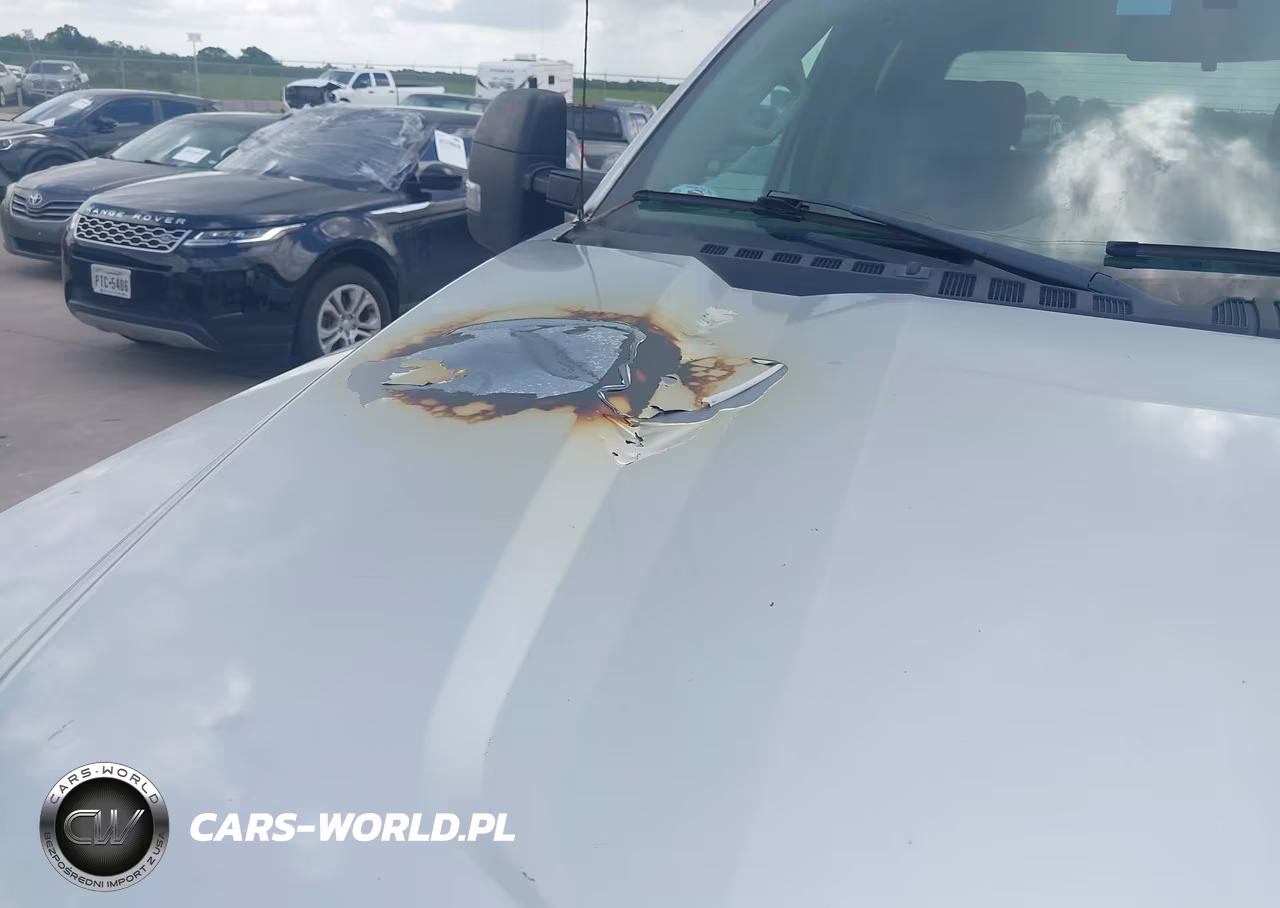 2019 Ford F-250 Xl VIN:1FT7W2B61KEG11610 - 6