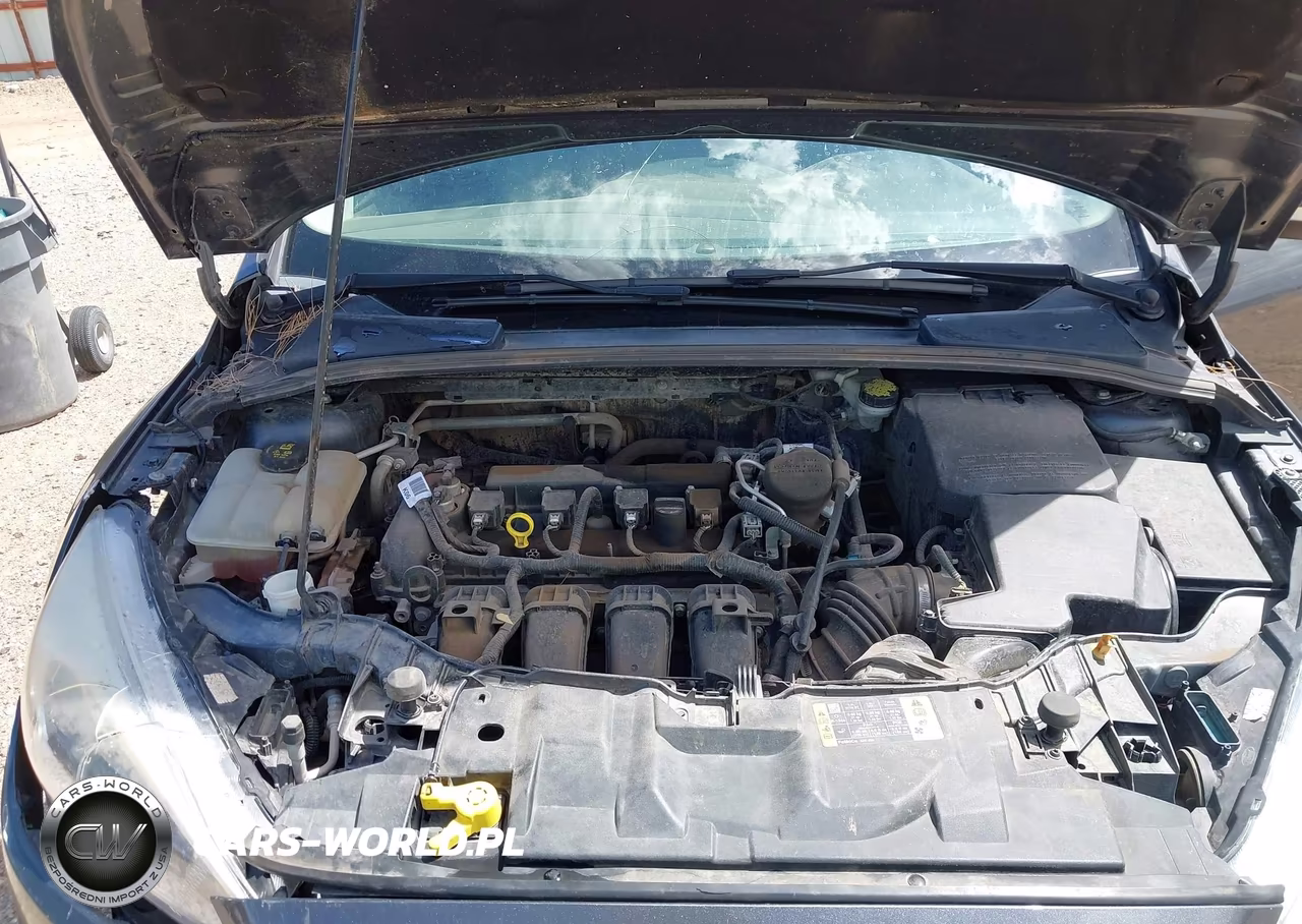 2015 Ford Focus Se VIN:1FADP3F29FL363451 - 10