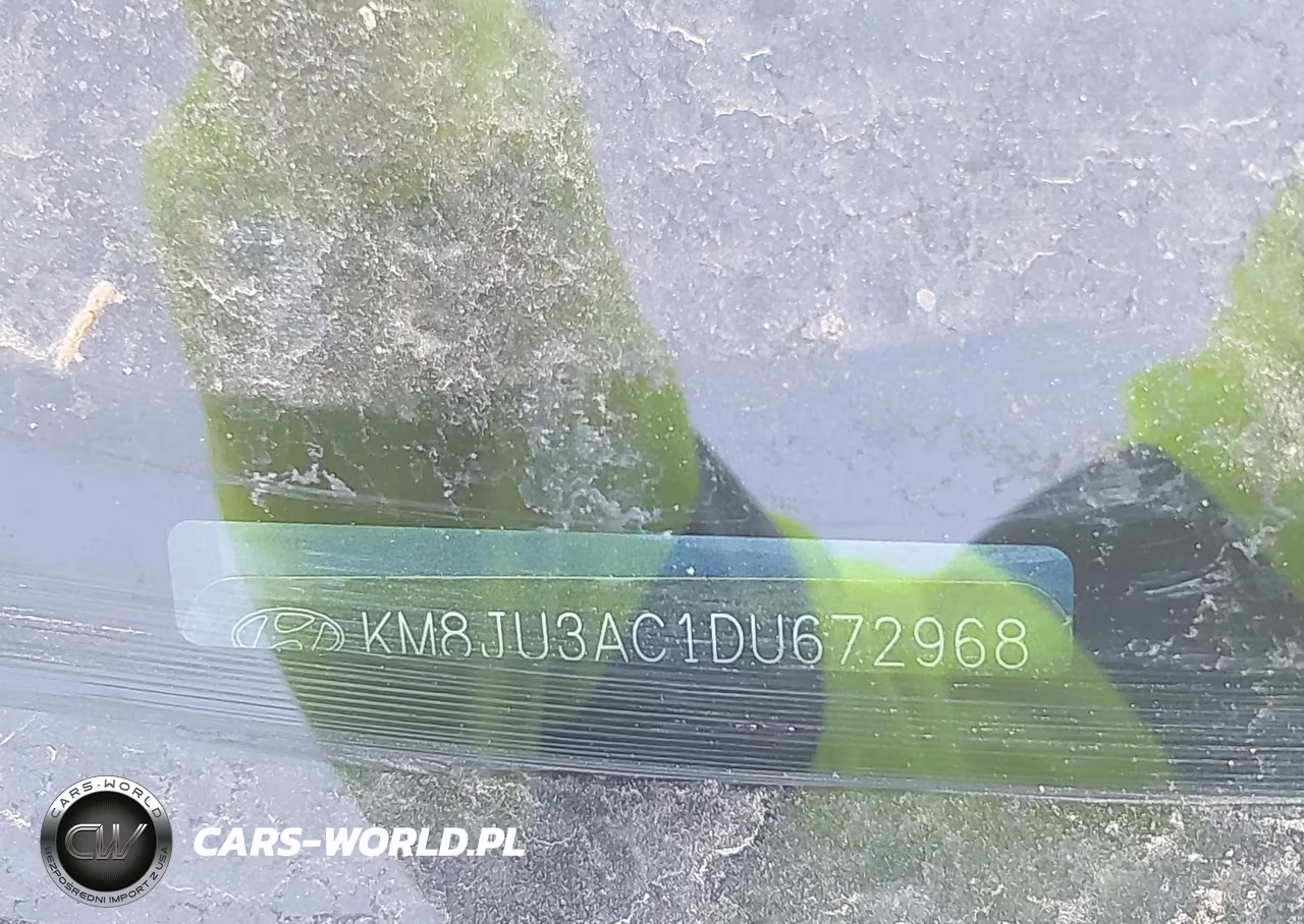 2013 Hyundai Tucson Limited VIN:KM8JU3AC1DU672968 - 9