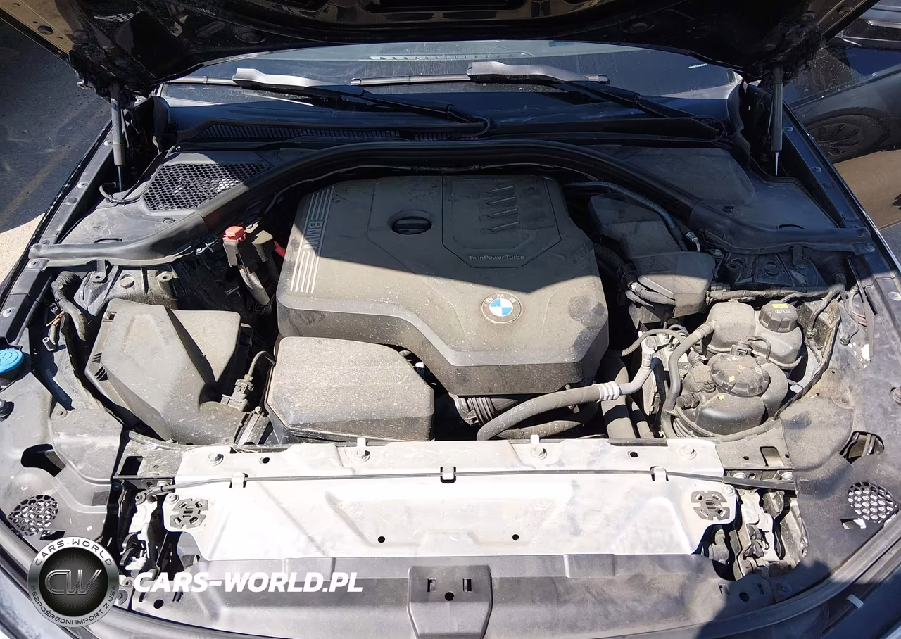 2019 BMW 330I xDrive VIN:WBA5R7C55KAJ81067 - 10