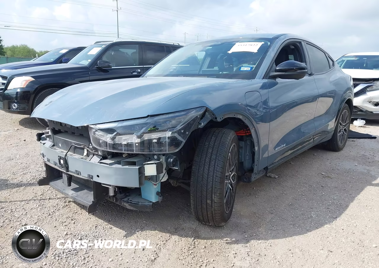 2024 Ford Mustang Mach-E Premium VIN:3FMTK3R4XRMA03136 - 2