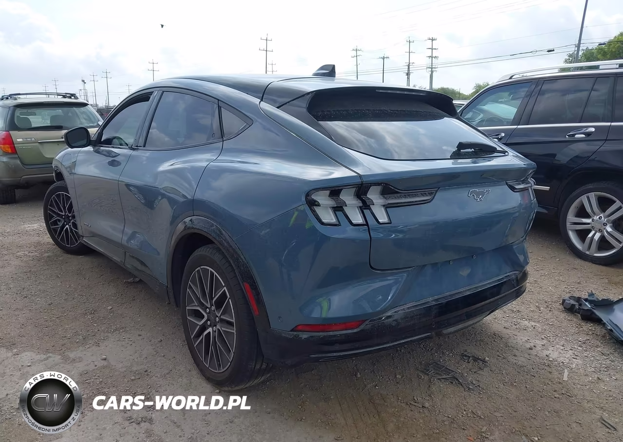2024 Ford Mustang Mach-E Premium VIN:3FMTK3R4XRMA03136 - 3