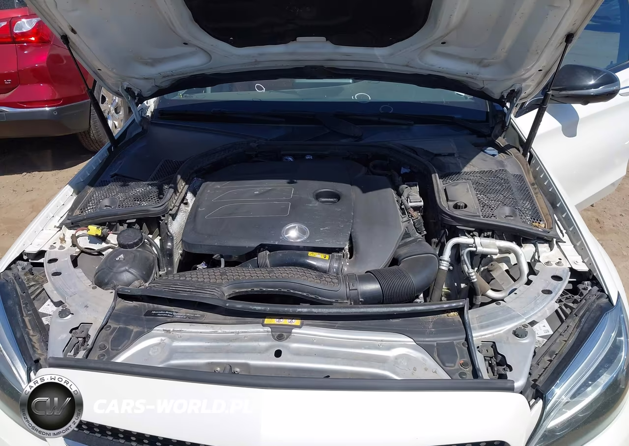 2019 Mercedes-Benz C 300 VIN:55SWF8DB1KU296975 - 10