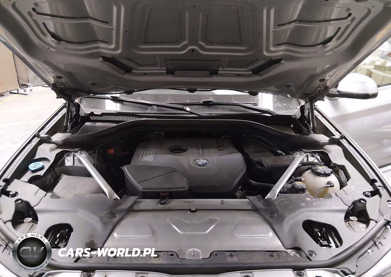2019 BMW X3 Sdrive30I VIN:5UXTR7C5XKLR52152 - 10