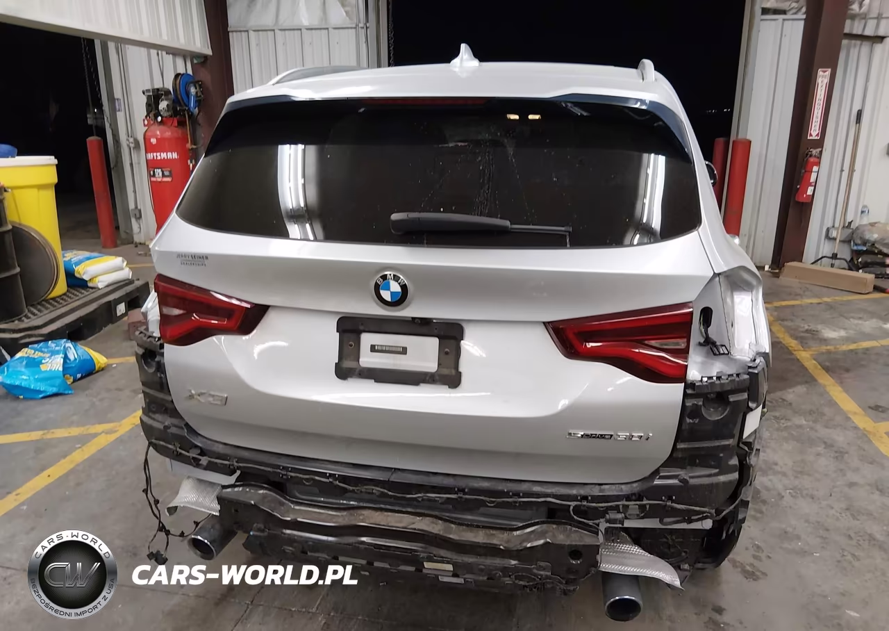 2019 BMW X3 Sdrive30I VIN:5UXTR7C5XKLR52152 - 17
