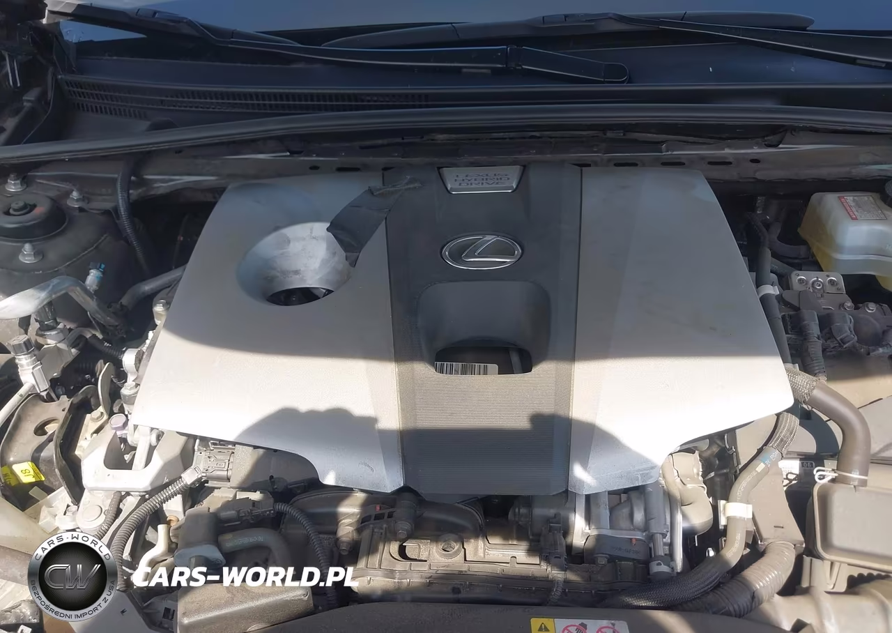 2019 Lexus Es 300H VIN:58AB21B16KU003872 - 10