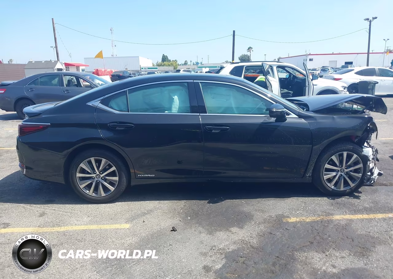 2019 Lexus Es 300H VIN:58AB21B16KU003872 - 13
