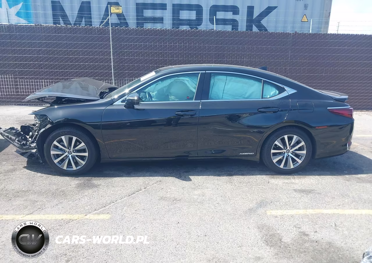 2019 Lexus Es 300H VIN:58AB21B16KU003872 - 14