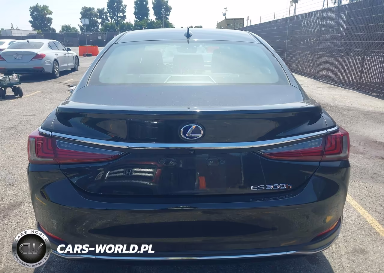 2019 Lexus Es 300H VIN:58AB21B16KU003872 - 16