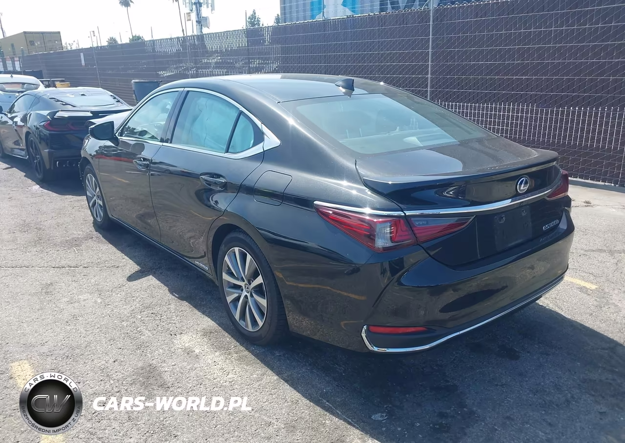 2019 Lexus Es 300H VIN:58AB21B16KU003872 - 3