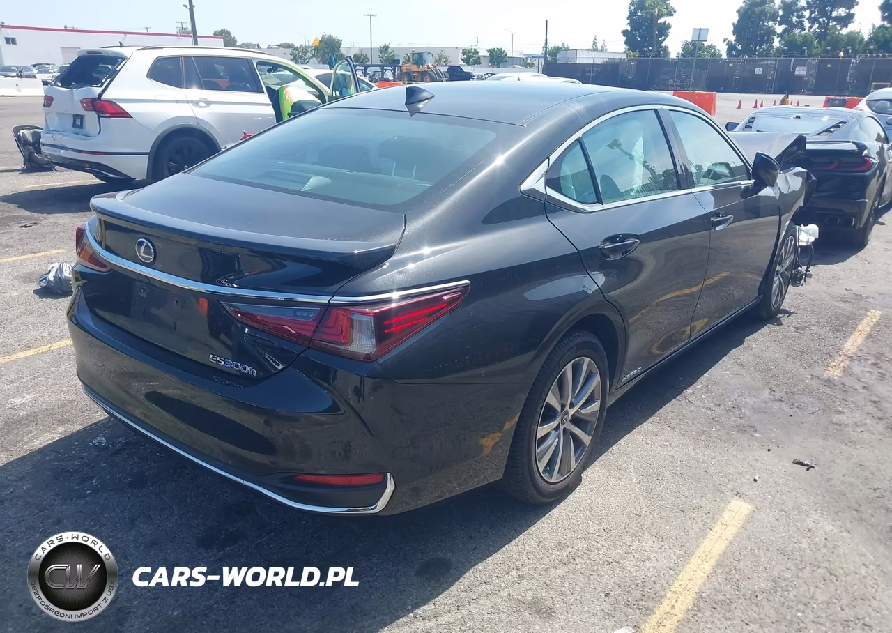 2019 Lexus Es 300H VIN:58AB21B16KU003872 - 4