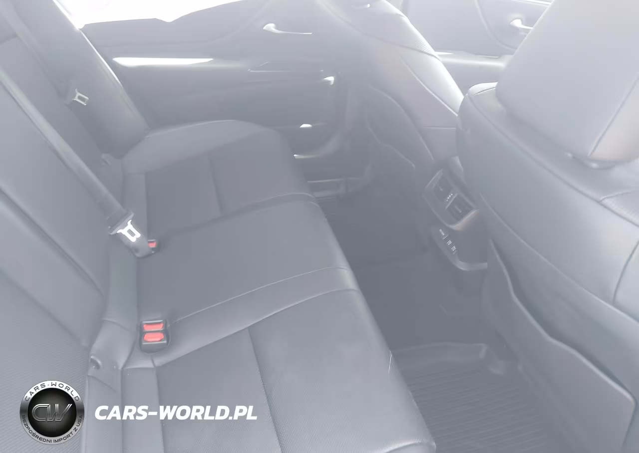2019 Lexus Es 300H VIN:58AB21B16KU003872 - 8