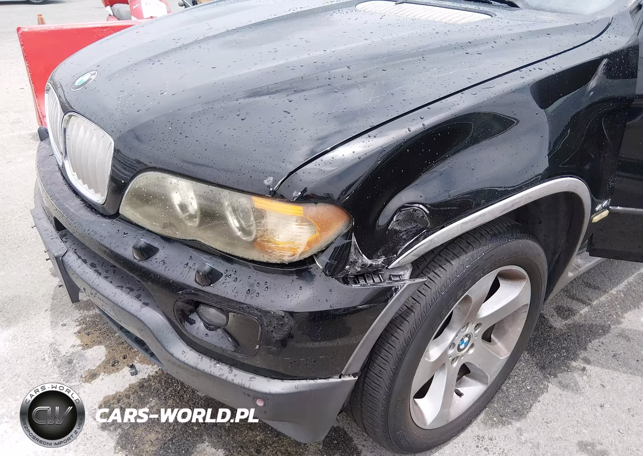 2005 BMW X5 4.4I VIN:5UXFB53545LV19288 - 6