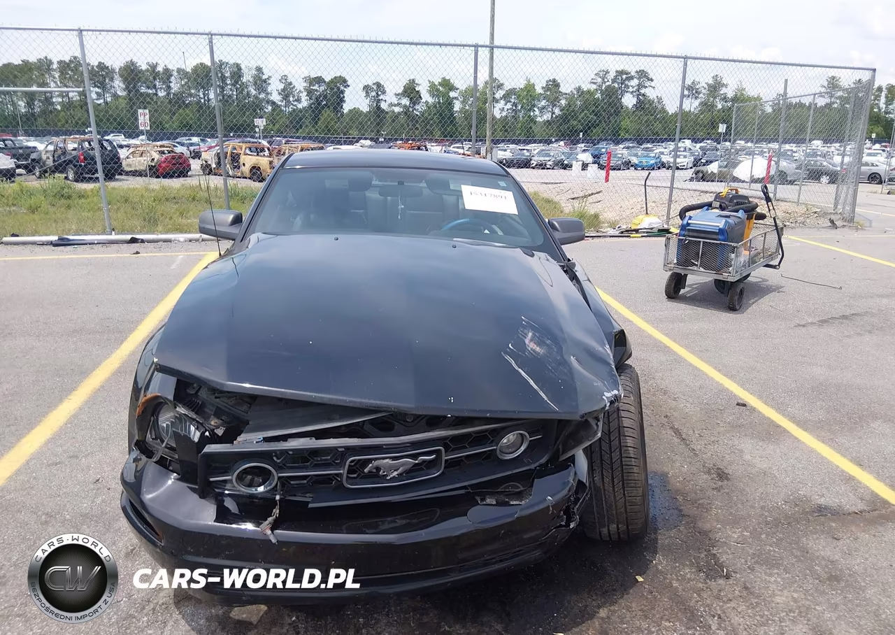 2008 Ford Mustang V6 Deluxe-V6 Premium VIN:1ZVHT80N985132190 - 12
