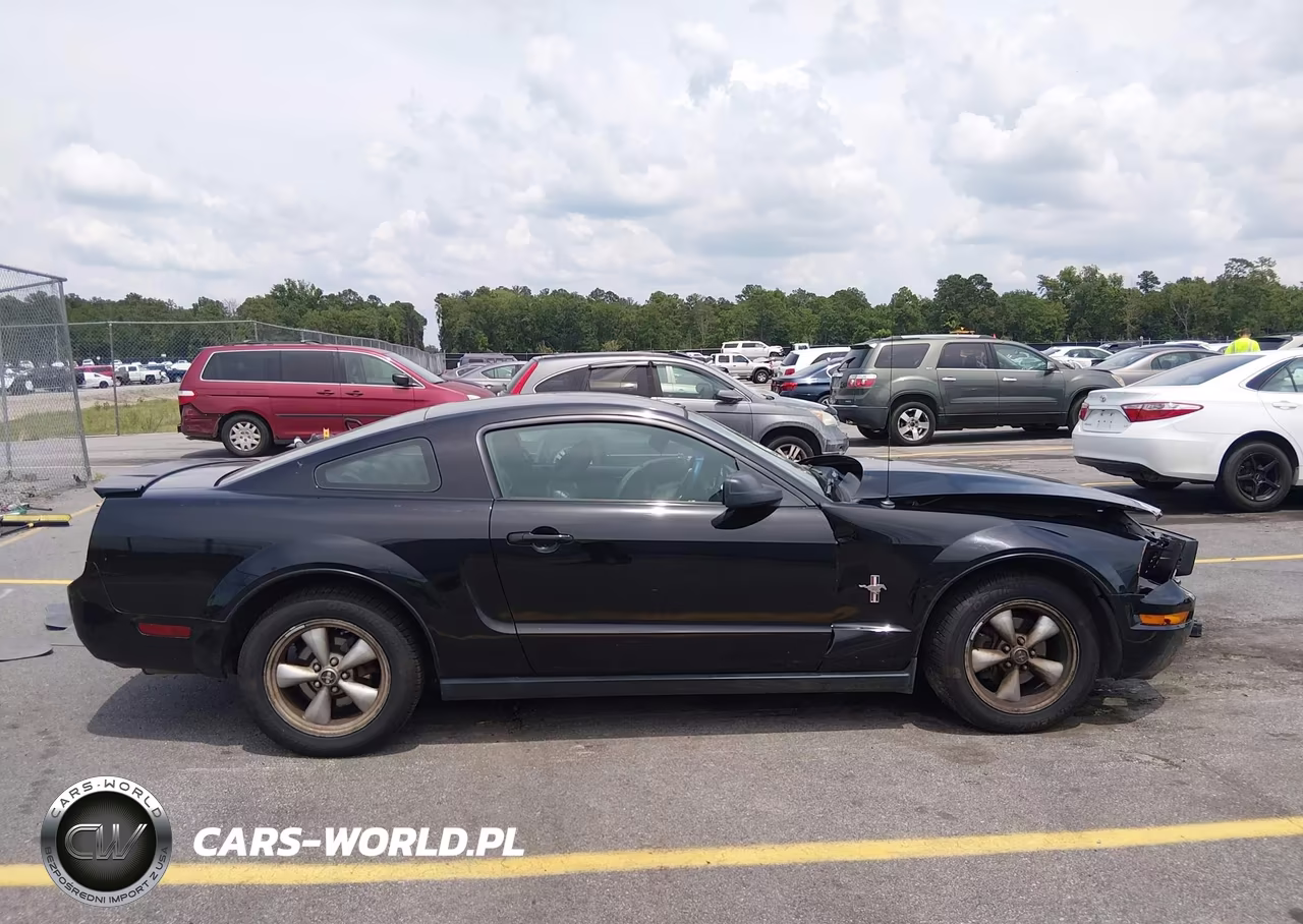 2008 Ford Mustang V6 Deluxe-V6 Premium VIN:1ZVHT80N985132190 - 13