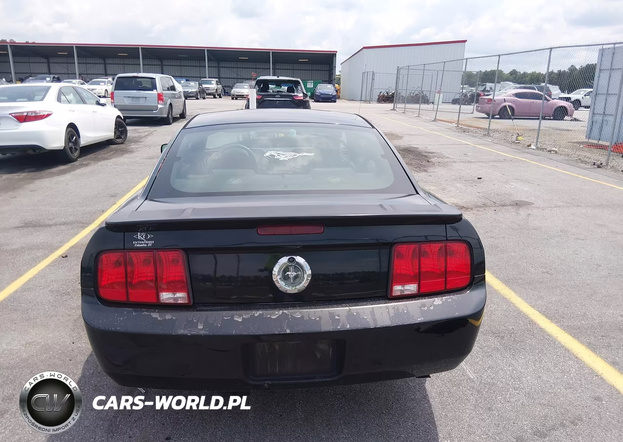 2008 Ford Mustang V6 Deluxe-V6 Premium VIN:1ZVHT80N985132190 - 16